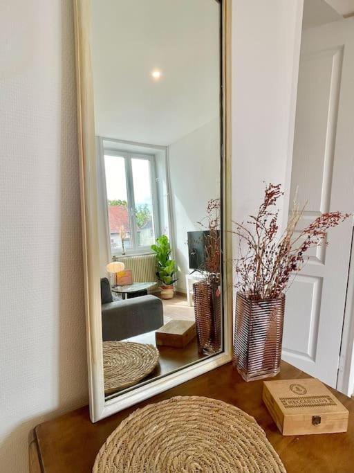 1 Appartement 3P Ideal Famille Travail Renove Lumineux Parking Gratuit Mulhouse Exterior photo