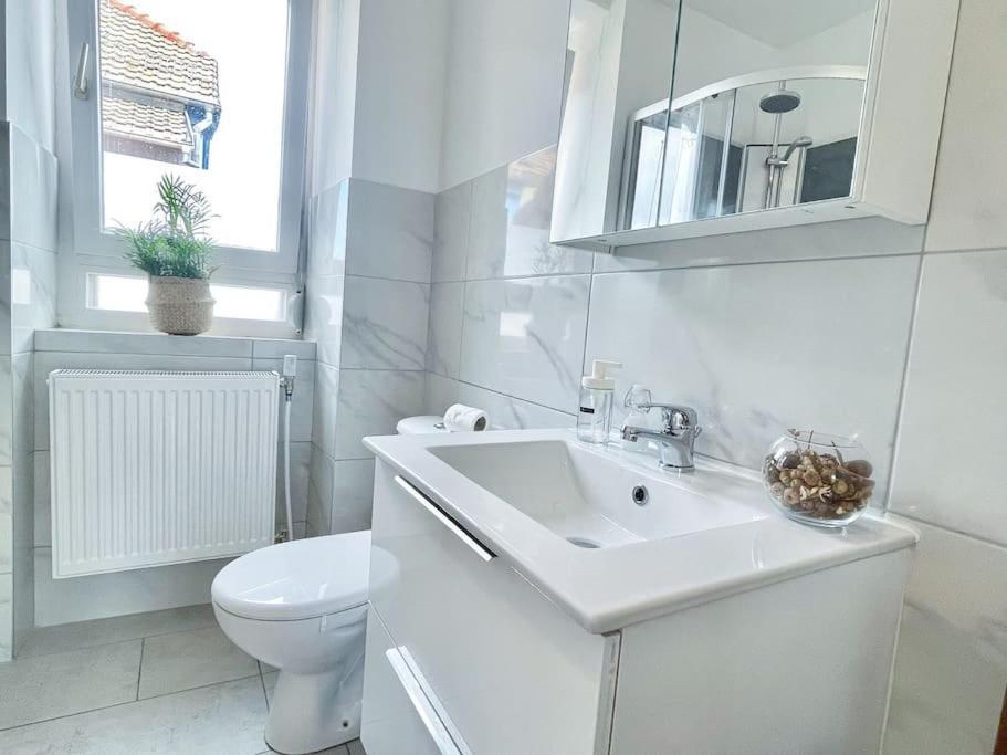 1 Appartement 3P Ideal Famille Travail Renove Lumineux Parking Gratuit Mulhouse Exterior photo